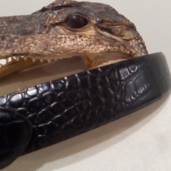 Lake Shore Drive Black Gater Bronze Scrollwork Buckle Belt - Picture 4 of 16